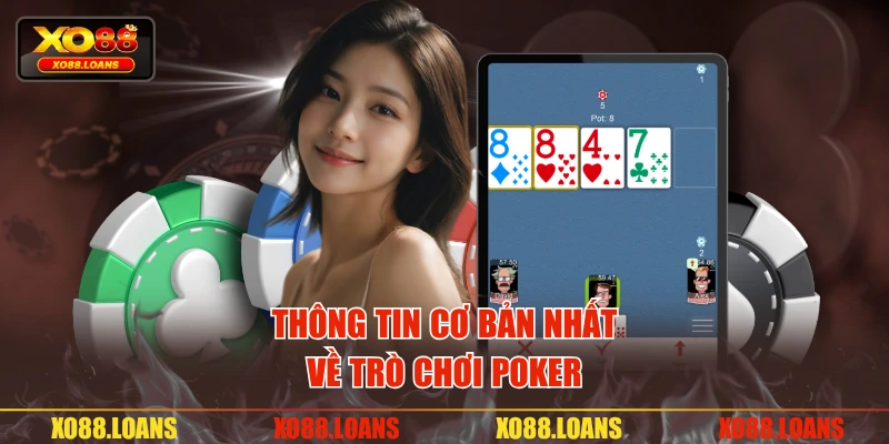 Thông tin cơ bản nhất về trò chơi poker